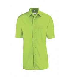Herren-Hemd Kurzarm Regular Fit, apfelgrün